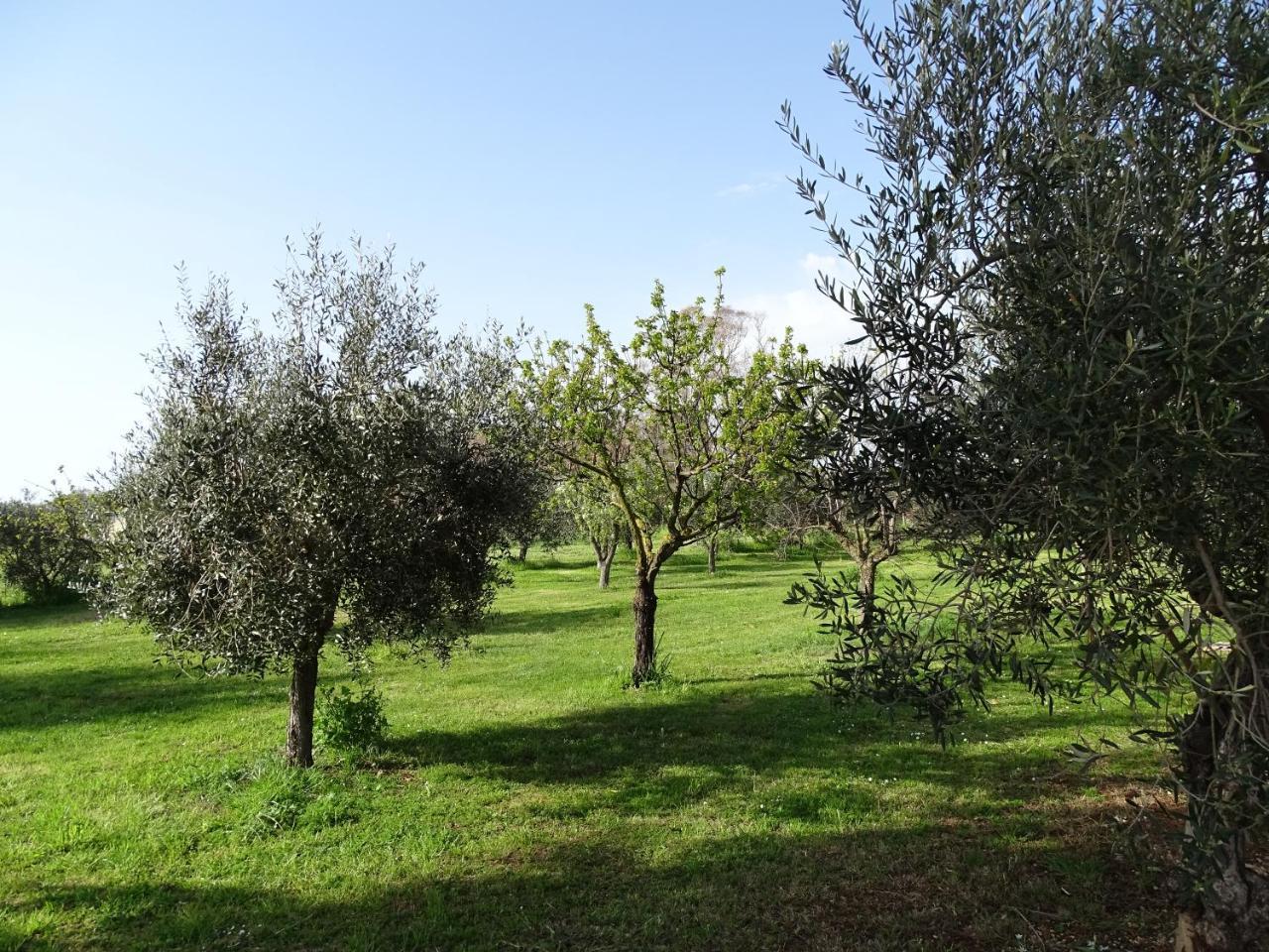 لاديسْبولِ Podere 1248 المظهر الخارجي الصورة